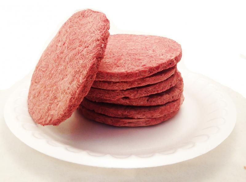 Uncooked Freeze Dried Hamburger Patties Can Safecastle
